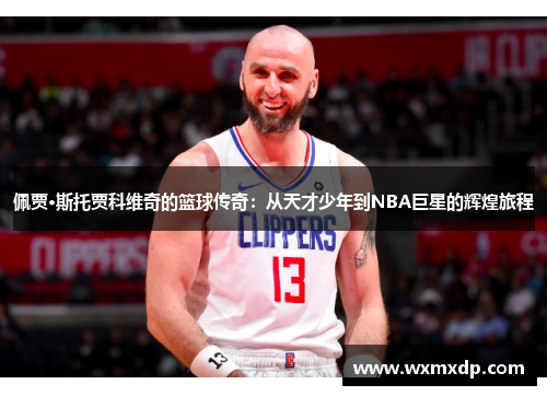 佩贾·斯托贾科维奇的篮球传奇：从天才少年到NBA巨星的辉煌旅程