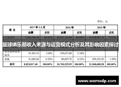 篮球俱乐部收入来源与运营模式分析及其影响因素探讨